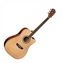 Washburn WD10CE