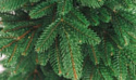 Бифорес Крона Микс (2.2 м, темно-зеленый)