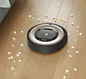 iRobot e6