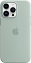 Apple MagSafe Silicone Case для iPhone 14 Pro Max (сочный)