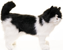 Hansa Сreation Кошка черно-белая 4221 (40 см)