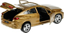 Технопарк BMW X6 X6-12MAT-BG