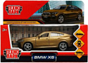 Технопарк BMW X6 X6-12MAT-BG