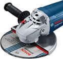 Bosch GWS 2200 Professional 06018C1120