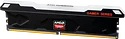 AMD Radeon R5 Entertainment RGB R5532G4800U2S-RGB