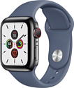 Apple Watch Series 5 40mm GPS + Cellular Stainless Steel Case with Sport Band