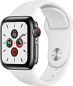 Apple Watch Series 5 40mm GPS + Cellular Stainless Steel Case with Sport Band