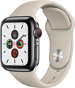 Apple Watch Series 5 40mm GPS + Cellular Stainless Steel Case with Sport Band