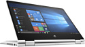 HP ProBook x360 435 G7 (175X1EA)