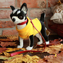 Hansa Сreation Собака чихуахуа, в желтой футболке 6384 (27 см)
