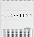 Ginzzu D290