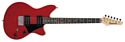 Ibanez RC220