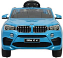 Chi Lok Bo BMW X5М (голубой)