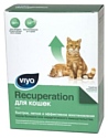 Viyo Vet Recuperation для кошек