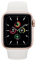 Apple Watch SE GPS + Cellular 40mm Aluminum Case with Sport Band