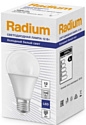 RADIUM LED A100 E27 12 Вт 6500 К