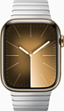 Apple Watch Series 9 45 мм (стальной корпус, блочный)
