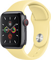 Apple Watch Series 5 40mm GPS + Cellular Aluminum Case with Sport Band