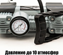 Mystery Chameleon AC-250 Mystery Chameleon AC-250