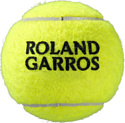 Wilson Roland Garros All Court WRT126400 (3 шт)