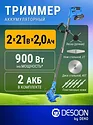 Desoon DSTR21 (с 2-мя АКБ)