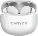 Canyon CNS-TWS5W