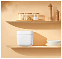 Xiaomi Mijia Rice Cooker 2 1.5L MFB05M (с переходником на евровилку) Xiaomi Mijia Rice Cooker 2 1.5L MFB05M (с переходником на евровилку)