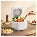 Xiaomi Mijia Rice Cooker 2 1.5L MFB05M (с переходником на евровилку) Xiaomi Mijia Rice Cooker 2 1.5L MFB05M (с переходником на евровилку)