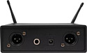 L Audio PRO2-MP