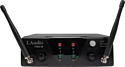 L Audio PRO2-MP