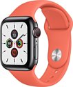 Apple Watch Series 5 44mm GPS + Cellular Stainless Steel Case with Sport Band