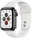 Apple Watch Series 5 44mm GPS + Cellular Stainless Steel Case with Sport Band