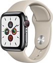 Apple Watch Series 5 44mm GPS + Cellular Stainless Steel Case with Sport Band