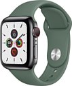 Apple Watch Series 5 44mm GPS + Cellular Stainless Steel Case with Sport Band