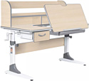 Anatomica Study-120 Lux + надстройка + органайзер + ящик с мятным креслом Ragenta (клен/серый)
