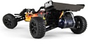 BSD Racing 1/10 2WD Brushed Baja