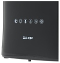 DEXP HG-580