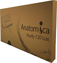 Anatomica Study-120 Lux (клен/серый)