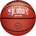 Wilson JR.NBA Fam Logo Indoor Outdoor WZ2009801XB7 (размер 7)