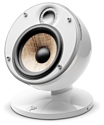Focal Dome Flax satellite