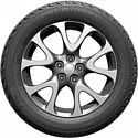 Premiorri ViaMaggiore Z Plus 205/50 R17 93H