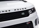 Chi Lok Bo Range Rover 3623W