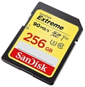 SanDisk Extreme SDXC UHS Class 3 V30 90MB/s 256GB