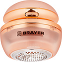 BRAYER BR5032