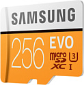 Samsung Evo microSDXC 256GB + адаптер