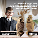 QBRIX Две совы 3D 20034