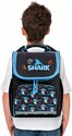 Пифагор Basic. Angry Shark 272044 Пифагор Basic. Angry Shark 272044