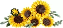 LEGO Botanicals 11502 Букет подсолнухов