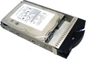 IBM 42D0410 300GB