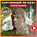 QBRIX Сергей Есенин 3D 20010